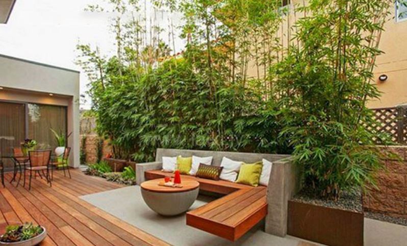 nhà hướng tây bắc nên trồng cây gì-1