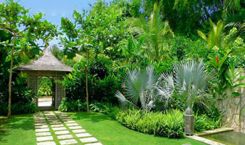 nhà hướng tây bắc nên trồng cây gì-1