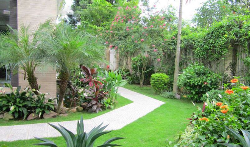 nhà hướng tây bắc nên trồng cây gì-1