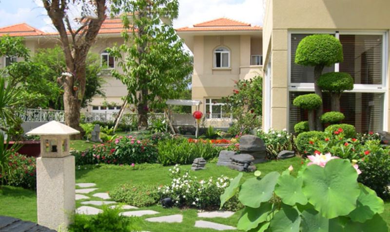 nhà hướng tây bắc nên trồng cây gì-1