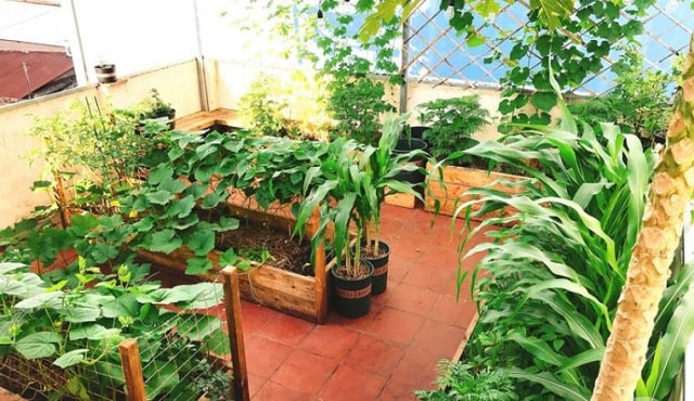 trang trí sân thượng chill