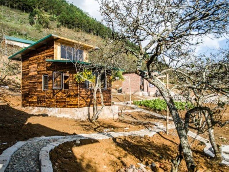 xây nhà kiểu homestay