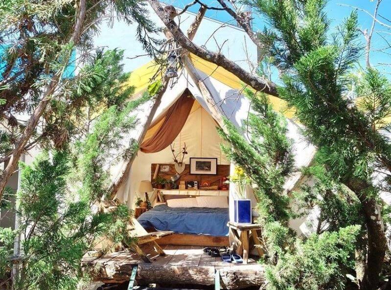 xây nhà kiểu homestay