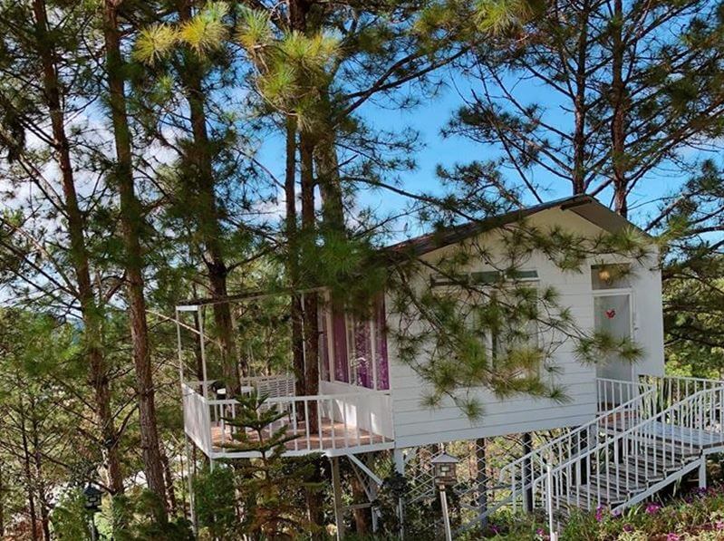 xây nhà kiểu homestay