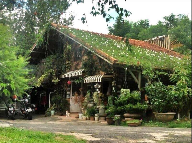 xây nhà kiểu homestay